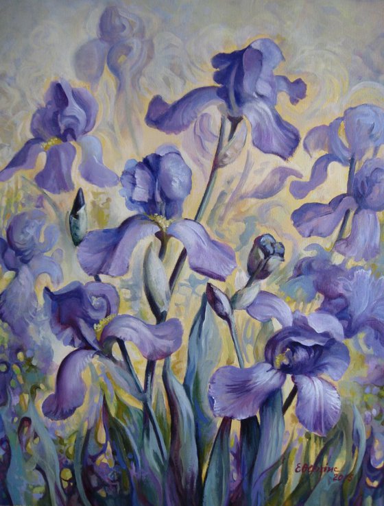 Blue irises