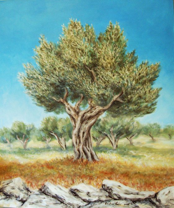 Olive trees