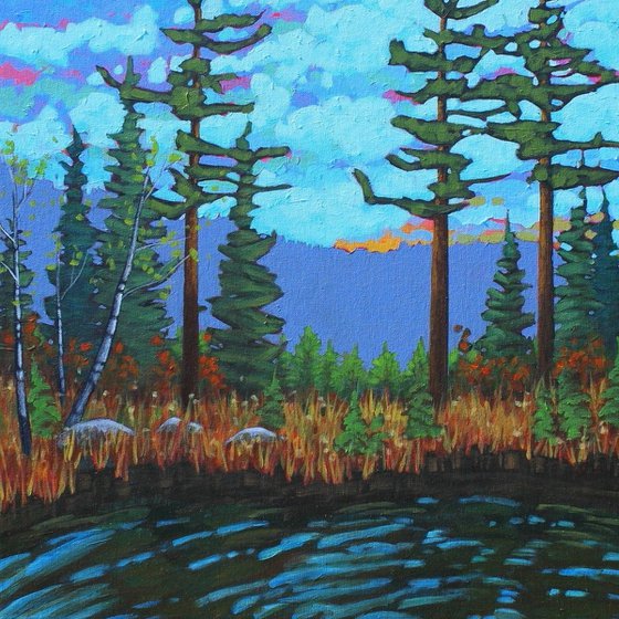 A Day in the Wilderness