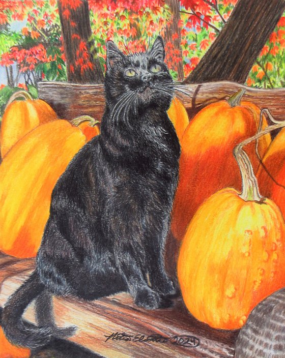 Binx's Autumn