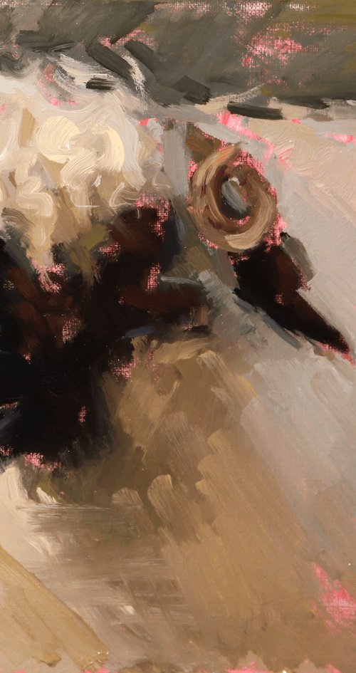 Valais Blacknose Sheep Study by Jade Eynon