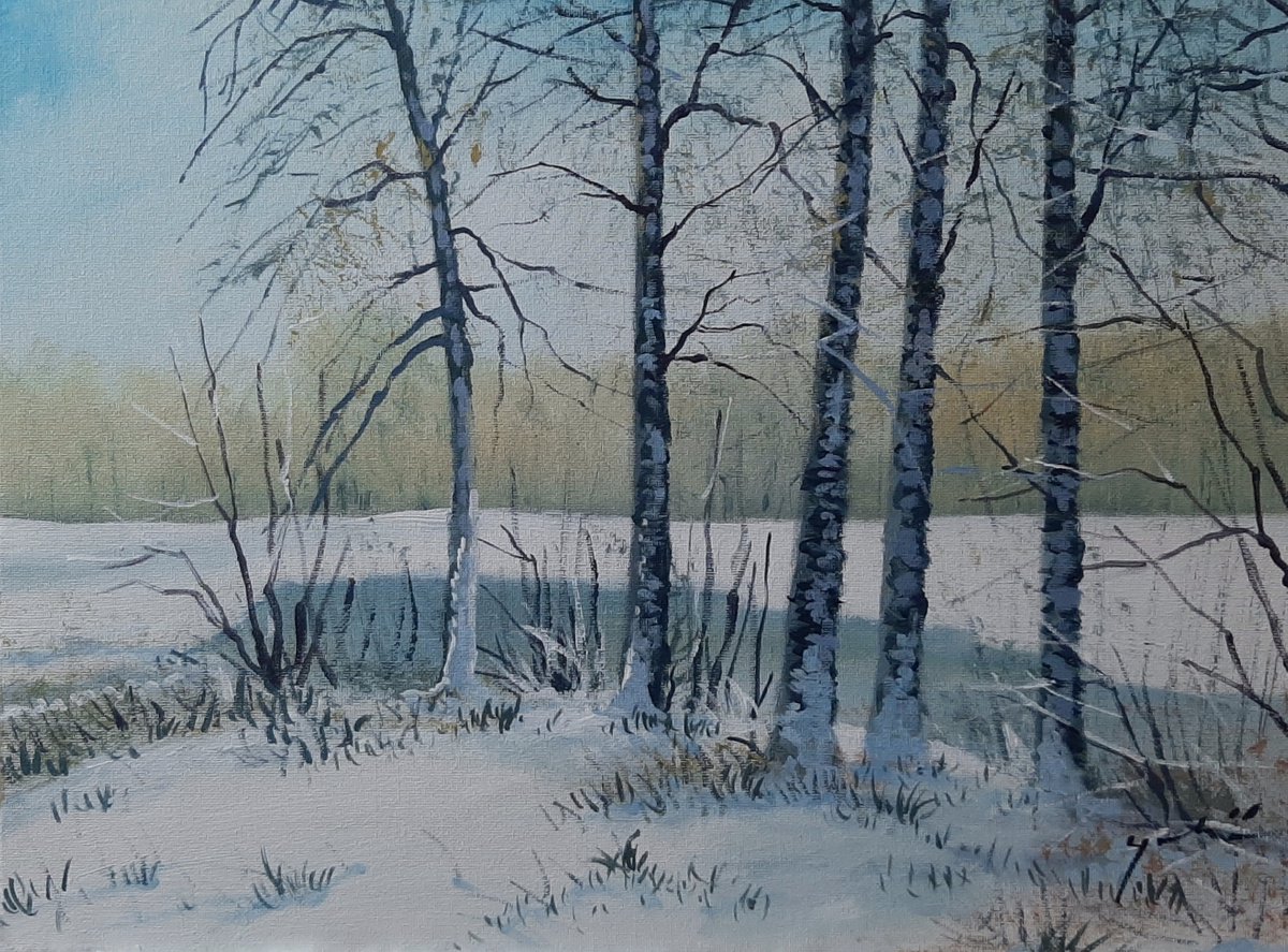 Snowy trees by Alen Grbic