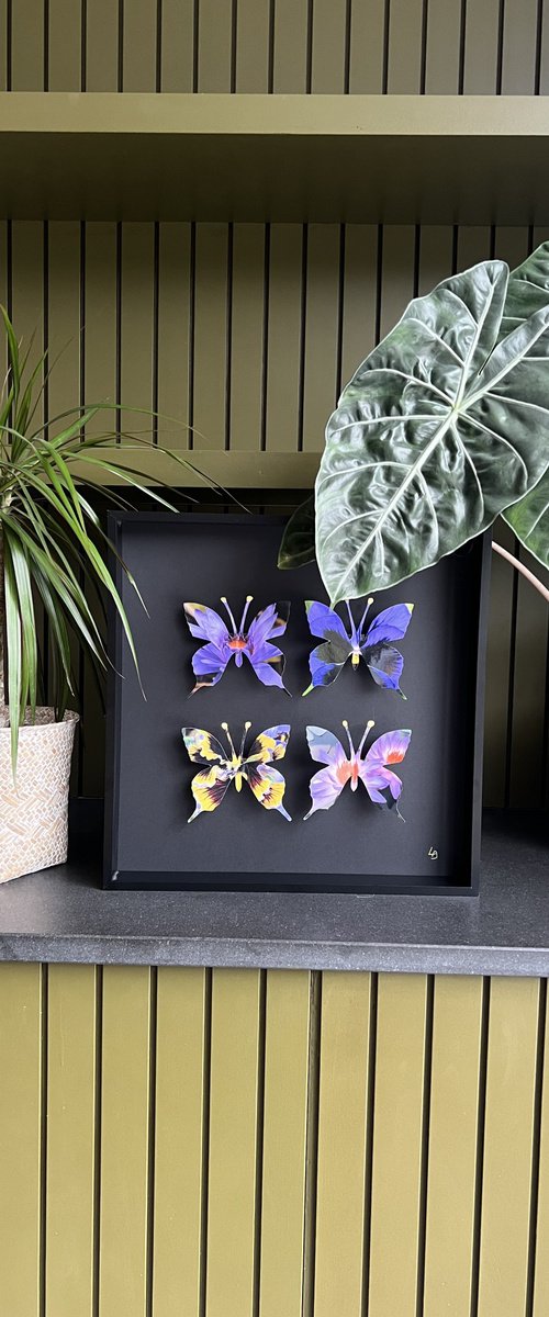 Flower Butterfly Box by Lorna Doyan