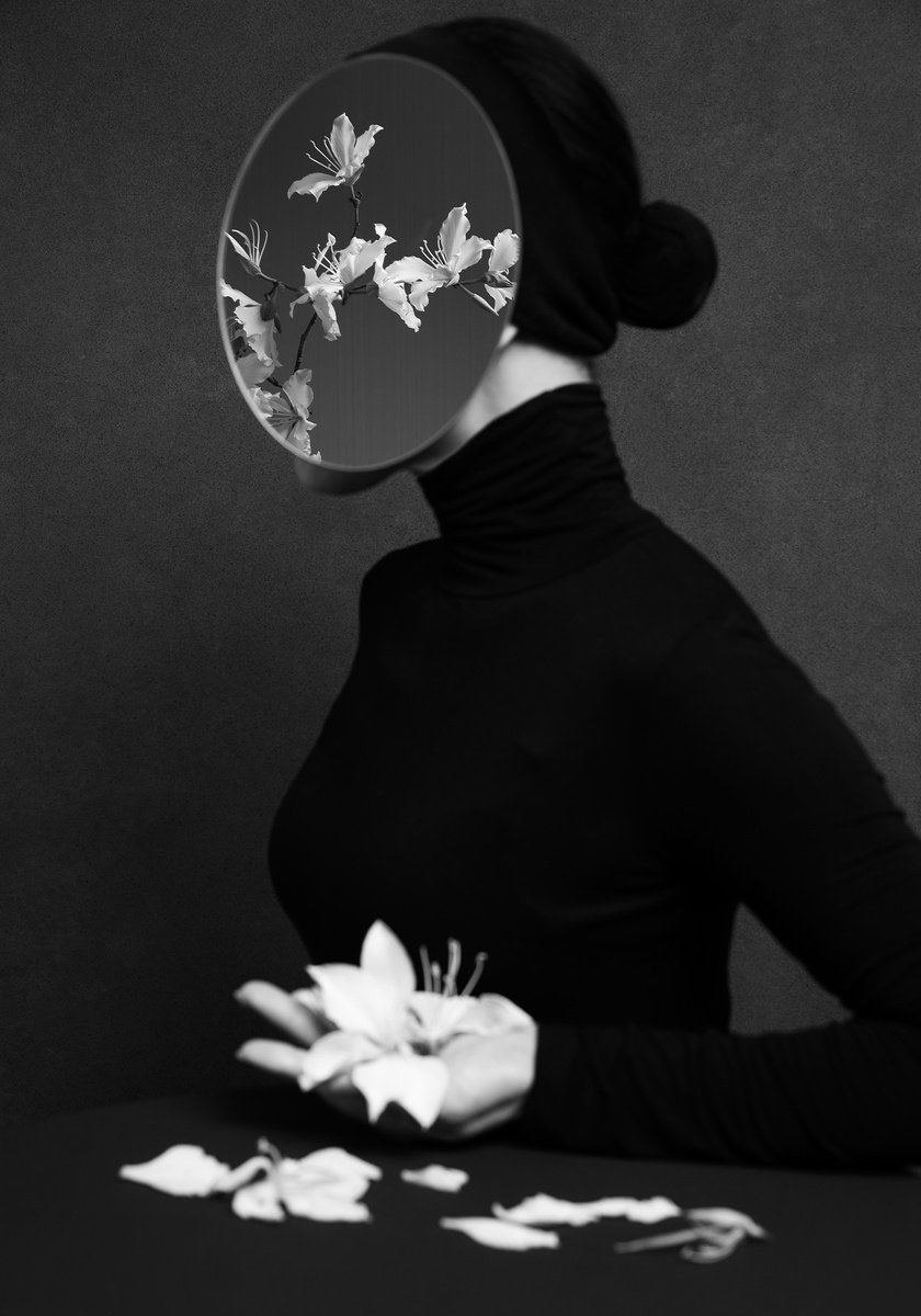 Surrealistic Botanical Photograph By Xidong Luo, 20 X 28", Fallen Beauty #1, Original Artwork