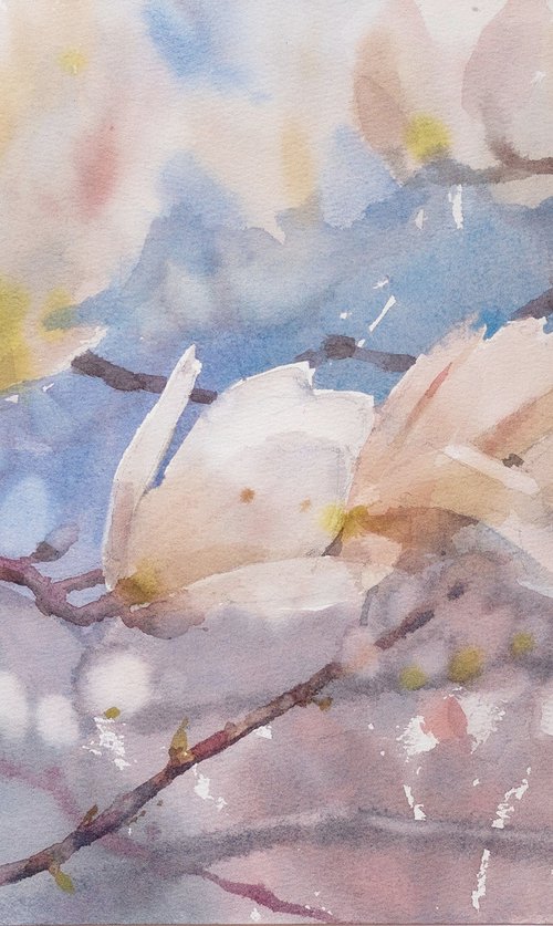 Magnolia blossom by Ekaterina Pytina