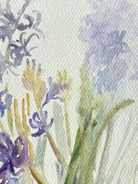 Hyacinths. Spring Awakening.