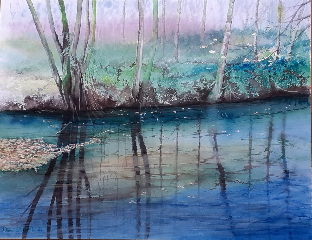 Drifting downstream by Diana Dabinett