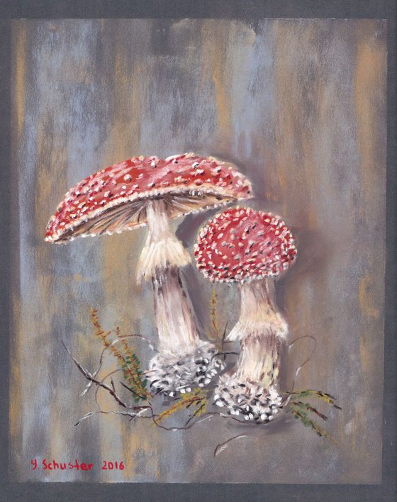 Fly - agaric