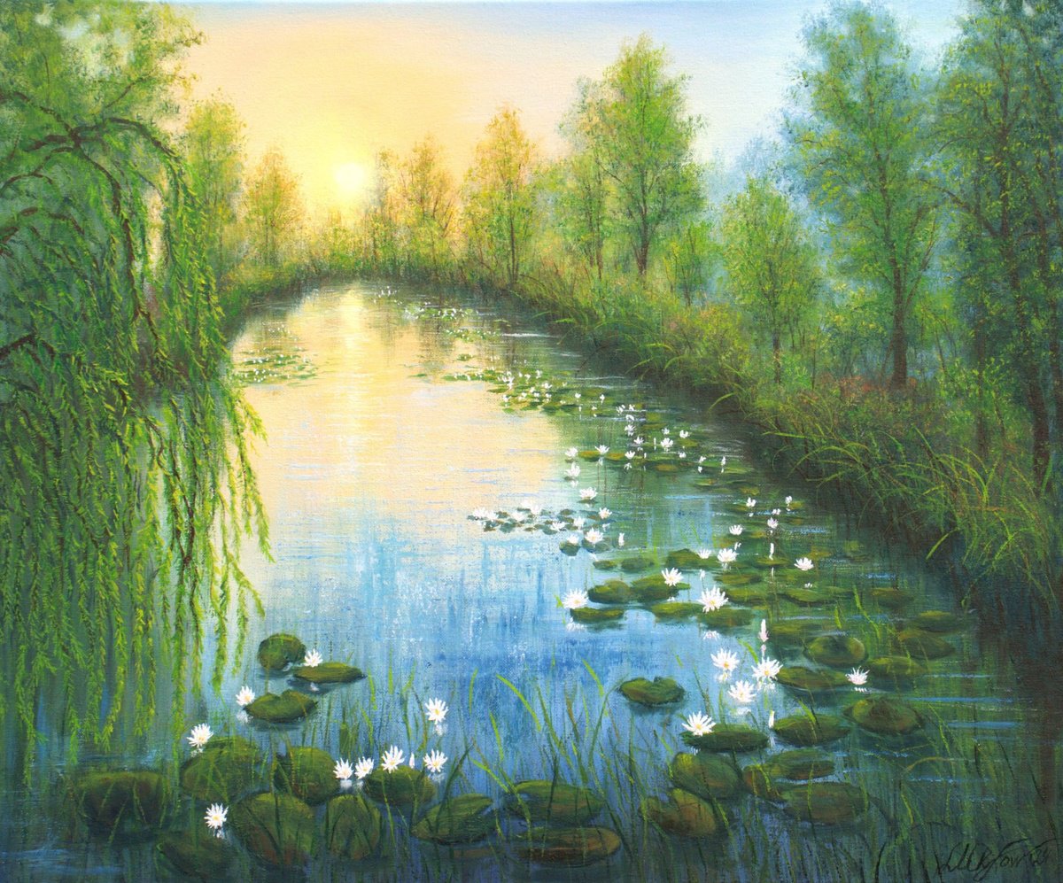 Water lilies pond by Ludmilla Ukrow