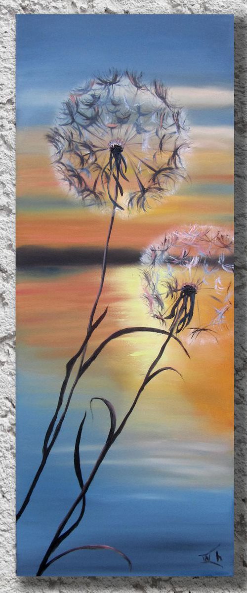 Dandelions at sunset by Ira Whittaker