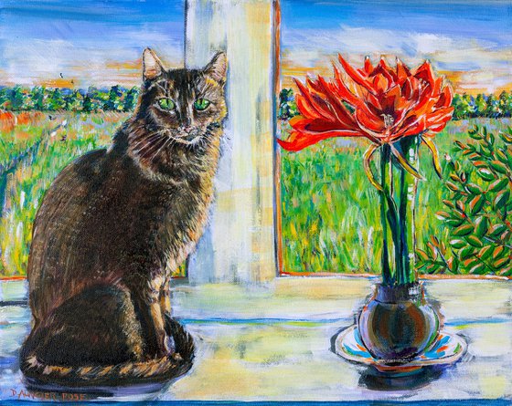 WINDOWSILL CAT WITH RED AMARYLLIS