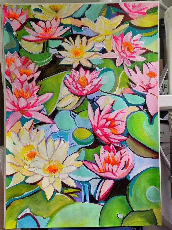 Water lilies