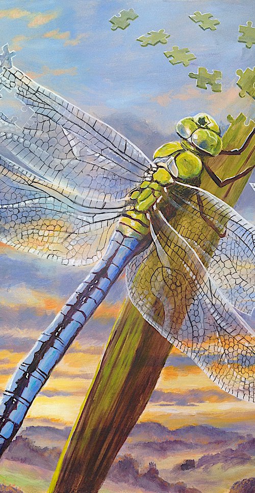 In Pieces - Dragonfly by Daniel Loveday