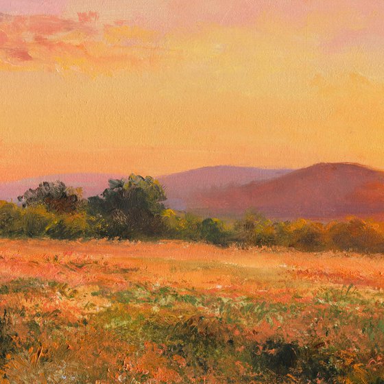 Golden sunset among wildflowers
