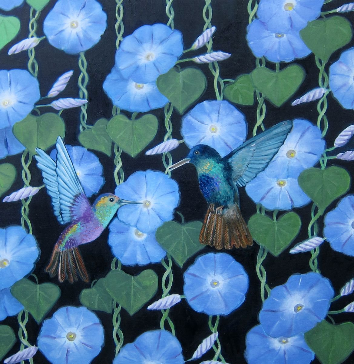 Morning Glory and Humming birds by Sophie Colmer-Stocker
