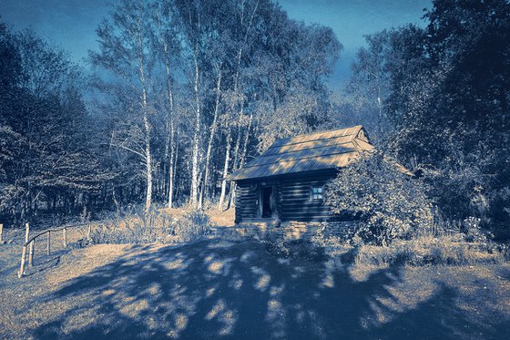 A hut in the forest.