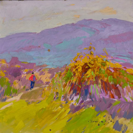 Walking in the Field