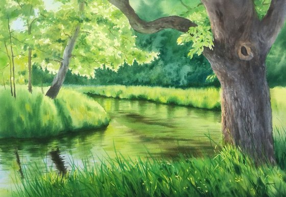 Green forest near river in sunny day - summer landscape