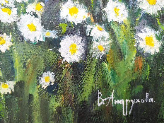 Field of daisies