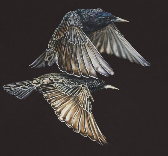 Patterns of the Unseen