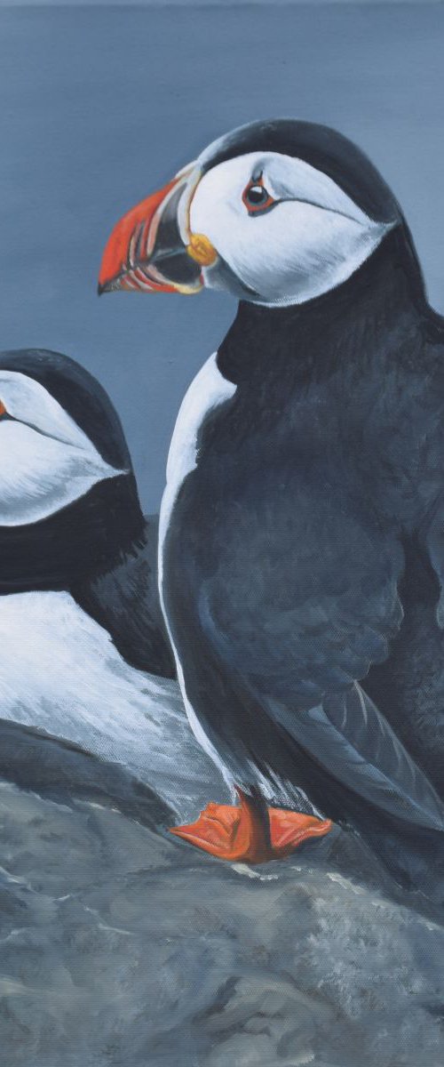 'Two Puffins on a rock' by Nicola Colbran