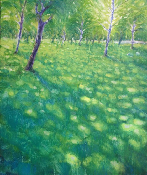 Light walking on the lawn V