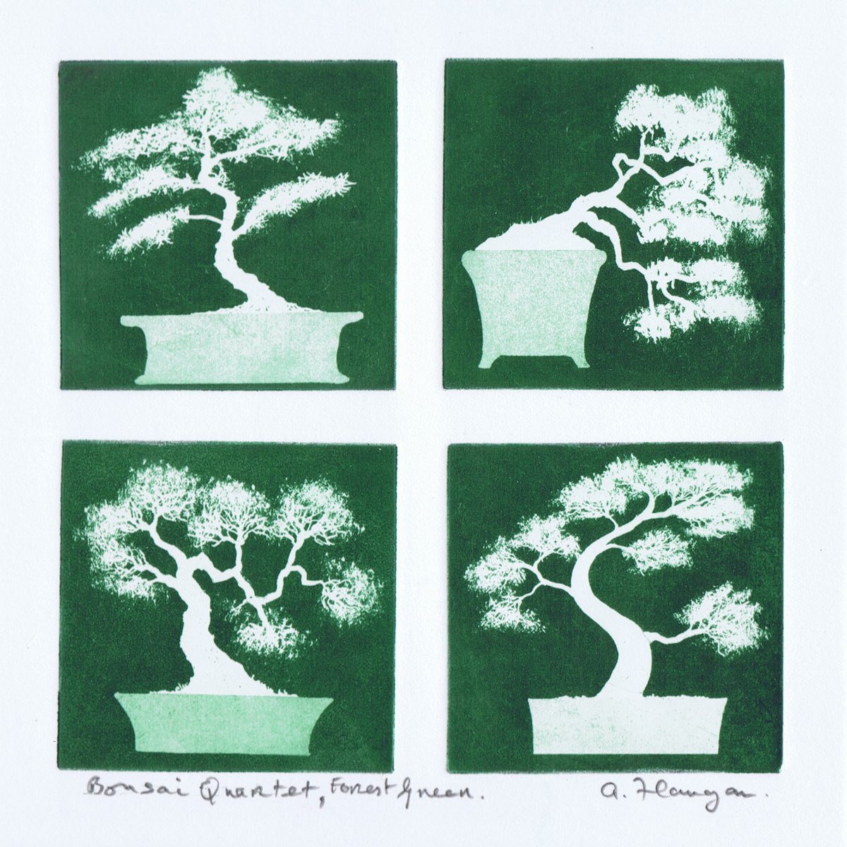 Bonsai Quartet by Aidan Flanagan Irish Landscapes