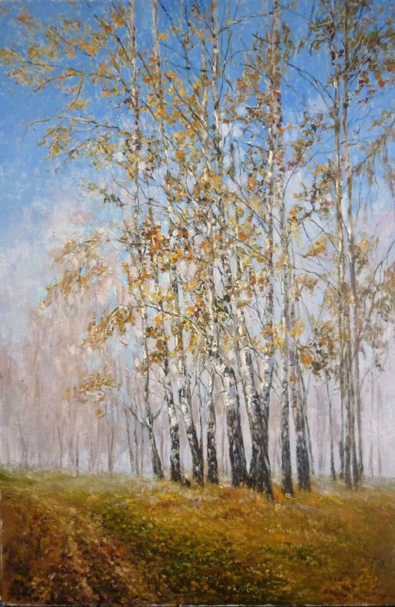 Birch trees by  the road