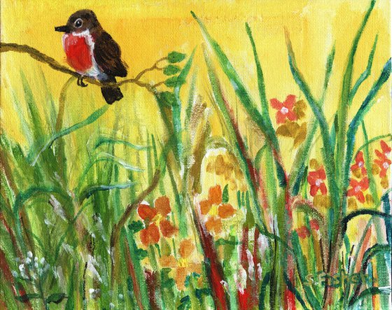 robin in the flower meadow