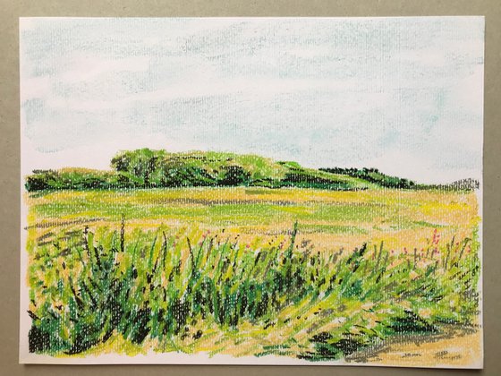 Pastel Field