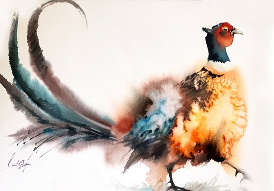 Pheasant