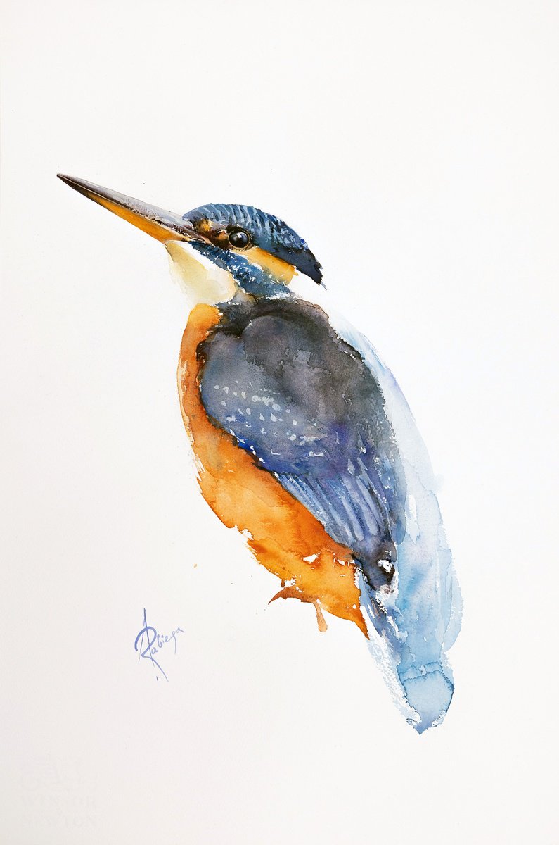 Animal Watercolour By Andrzej Rabiega, 15 X 22, Kingfisher, Original Artwork