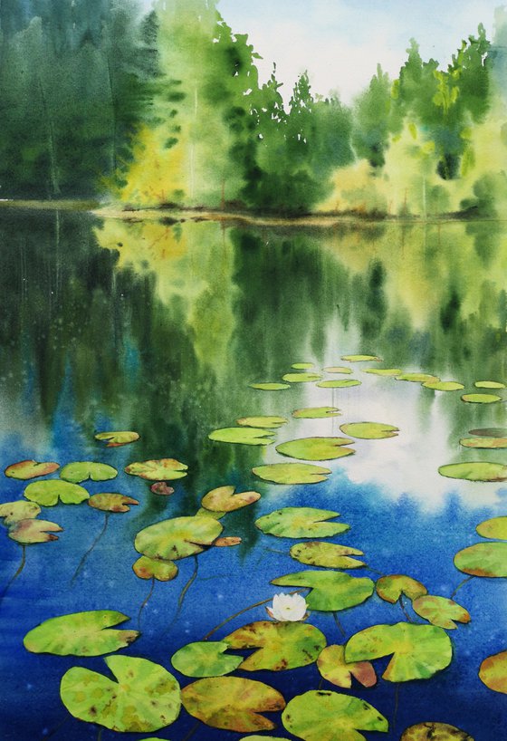 Lily Pad - Water Lilies - Lily painting - Water lilies - Water Lily Pond -  waterlily lake