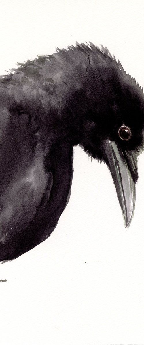 Crow Portrait by Suren Nersisyan