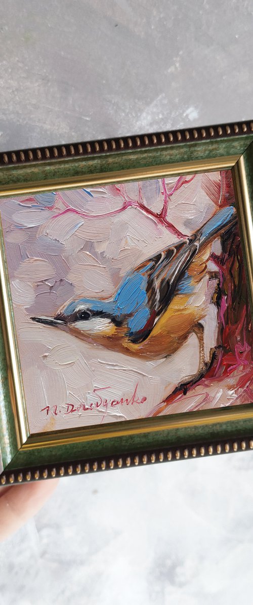 Original blue bird oil painting 4x4 in frame, Nuthatch miniatures painting, Nursery wall art pale colors birdie by Nataly Derevyanko