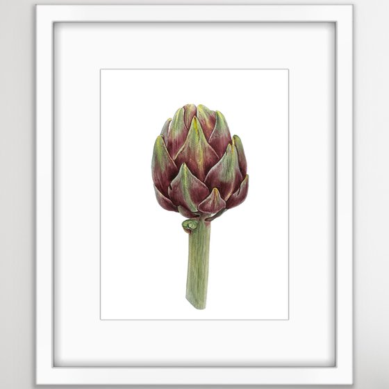 Artichoke. Original watercolor artvork in a frame