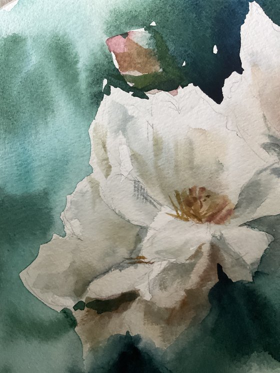 White roses, original watercolour painting