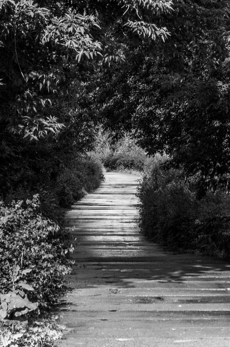 Follow Your Own Path (from the Road To Nowhere set) by Adam Mazek