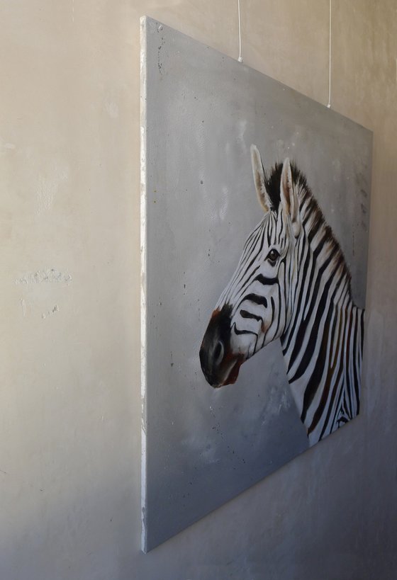 Portrait of a zebra