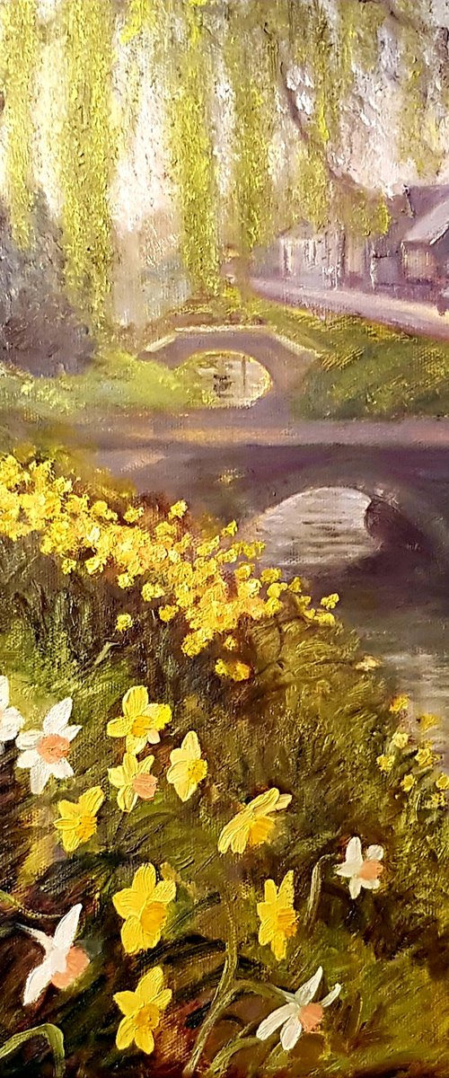 Daffodils, Clanfield by Michele Wallington