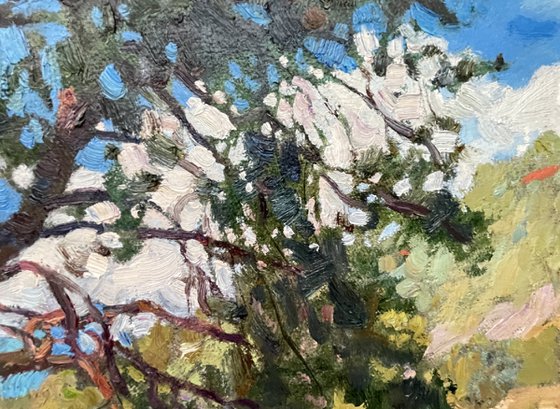 Pines on the island