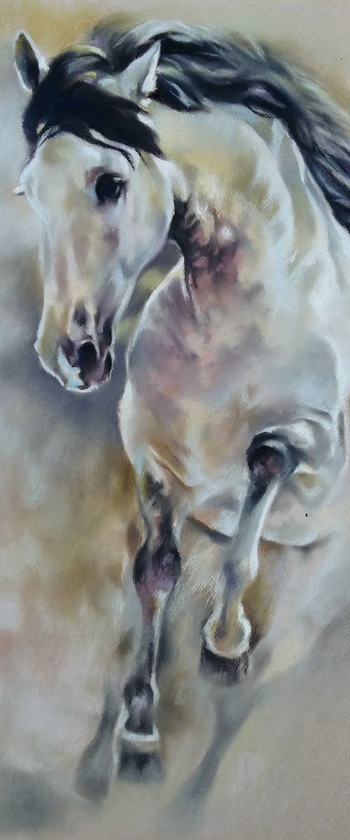 Running horse by Magdalena Palega