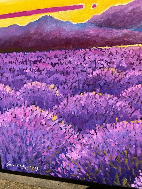 Lonely woman in lavender field
