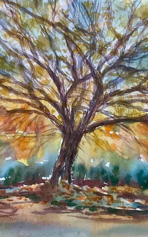 The tree by Stourhead lake by Samantha Adams