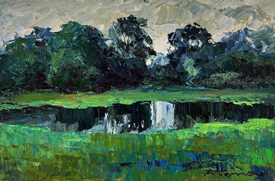 In the Meadows before the Rain