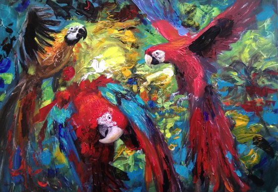 Happy Parrots