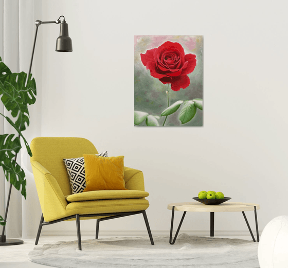 Rosa Amoris. Red rose