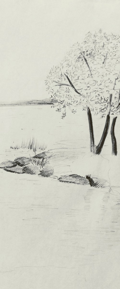 By the lake. Original pencil drawing. by Yury Klyan