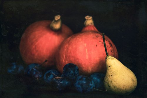 Harvest by Petra Urbanovic
