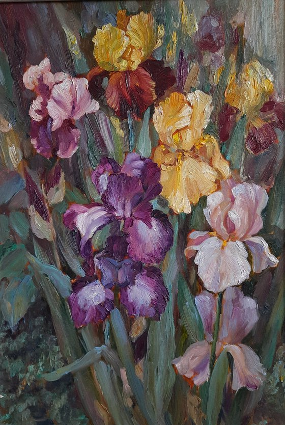 Irises- Original oil painting (2019)